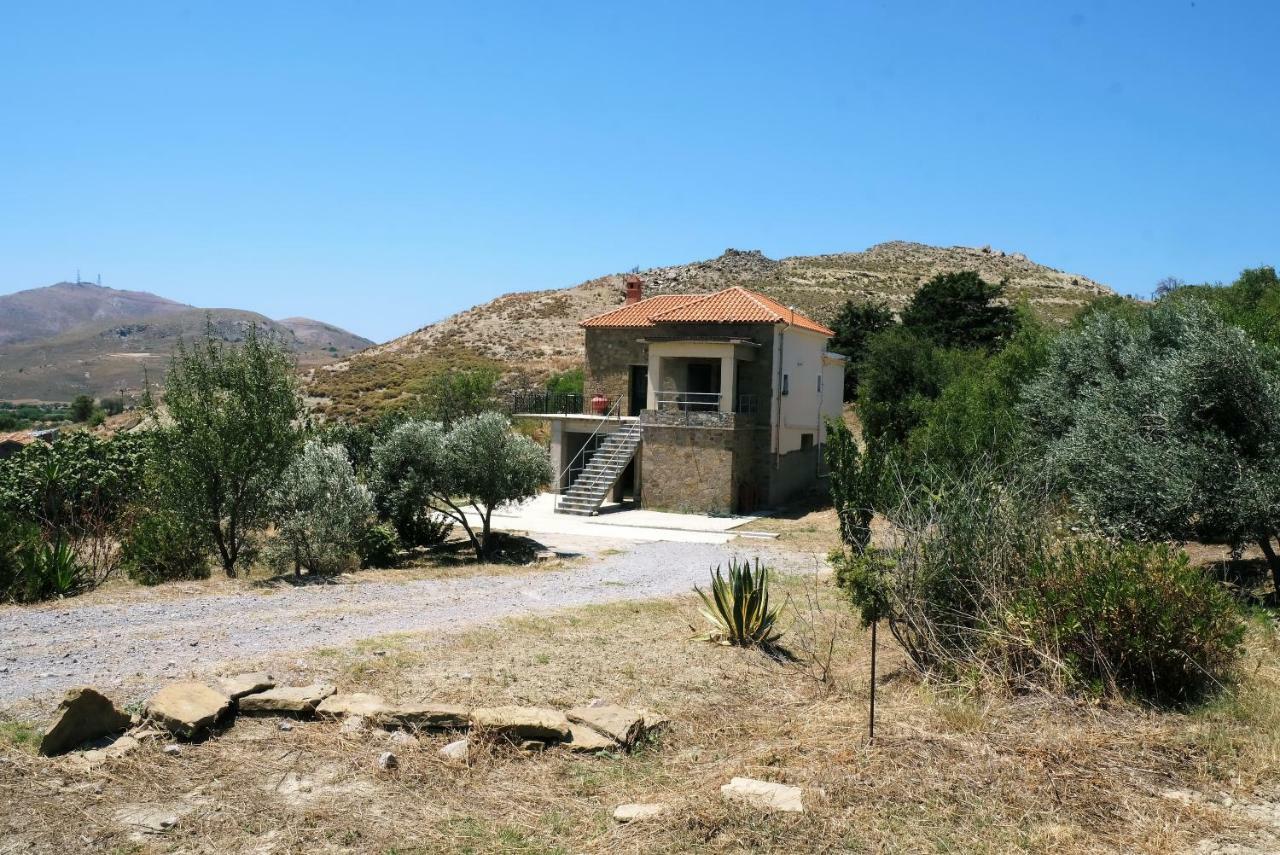 Stone House Of Panos Villa Kornos Eksteriør billede